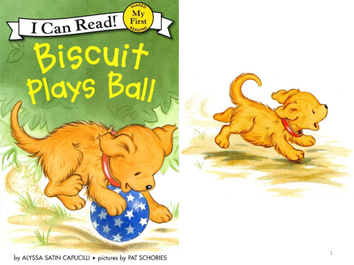 Biscuit plays Ball 小饼干狗玩皮球